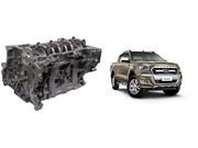 Motor Parcial Ford Ranger 2.2 16V Turbo Diesel 2013 ate 2019 (Motor Duratorq/Euro 5)