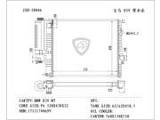 Radiador Bmw 520i 2.0/2.5/2.8 1996 ate 2000 (Automatico/Manual)  - 69654