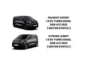 Carter Motor Peugeot Expert 1.6 8V Turbo Diesel 2018 ate 2022 (Motor DV6FCU) - 115237