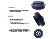 Polia Virabrequim Nissan Frontier SEL/LE/XE/SE/ATTACK 2.5 16V TB Diesel 2007/2016 - 115599