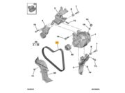 Correia Alternador Peugeot Expert 1.6 8V Turbo Diesel 2018 ate 2022 (Motor DV6FCU/Com AR) - 121496