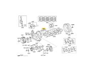 Virabrequim Toyota Hilux CD/CS/SR/SRV D4-D 3.0 16V TB Diesel 2005 ate 2015 (MT 1KD) - 122422