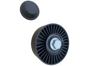 Polia Correia Alternador BMW X3 2.5/3.0 6CC 24V 2005 ate 2010 (MT N52B/Serie E83) - 123970