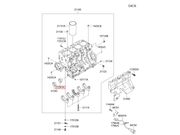 Bucha Eixo Balanceador Hyundai HR 2.5 16V Turbo Diesel 2013 ate 2025 (Mt D4CB) - 124637