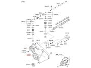 Polia Bomba Injetora Hyundai HR 2.5 8V TB Diesel 2005 ate 2012 (Motor D4BH) - 124725