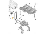 Corrente Bomba Oleo Ducato 2.0/2.2 16V Turbo Diesel 2018 ate 2025 (Motor DW10/DW12) - 127646