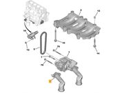 Pescador Bomba Oleo Ducato 2.0/2.2 16V Turbo Diesel 2018 ate 2025 (Motor DW10/DW12) - 127674