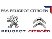 Coxim do Motor Peugeot 208 1.4/1.5/1.6 16V Flex 2012 ate 2016 (Lado Esquerdo) - 35203